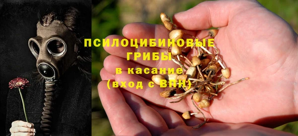 мдма Заволжск