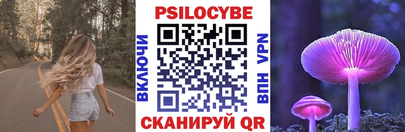 Купить закладки  Кукмор  Галлюциногенные грибы Psilocybe 